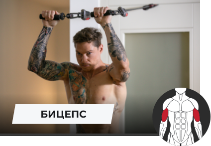 Бицепс