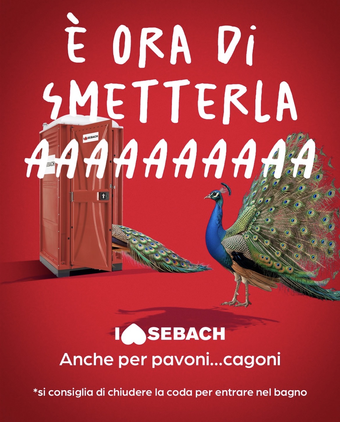 sebach peacocks