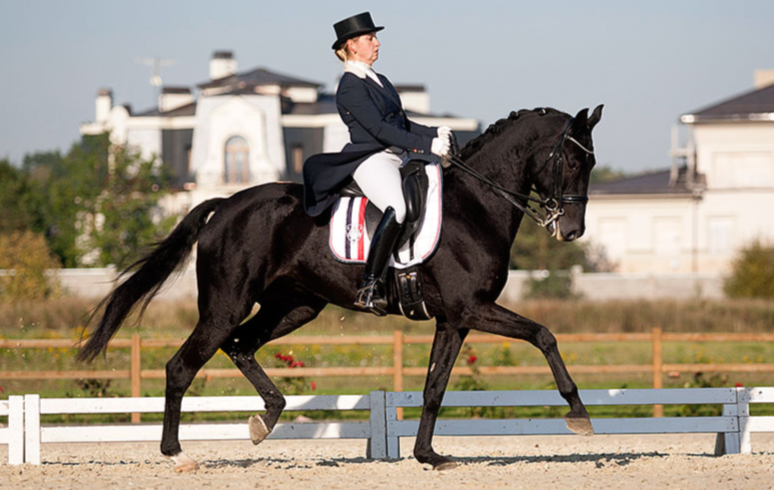 Фотографии тренеров в КСК "Премиум"