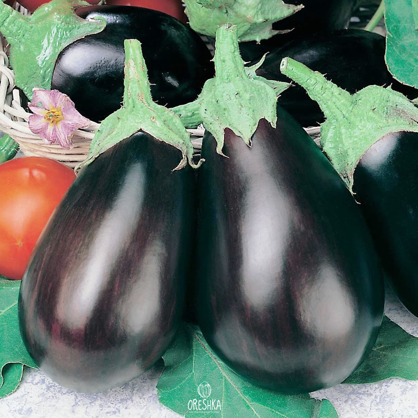 Seeds of Eggplant Black Beauty (Solanum melongena) — 20 pcs
