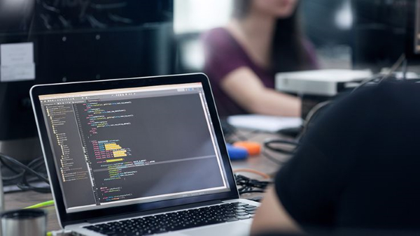 software developer