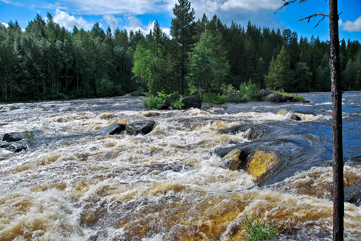 Карелия река кереть