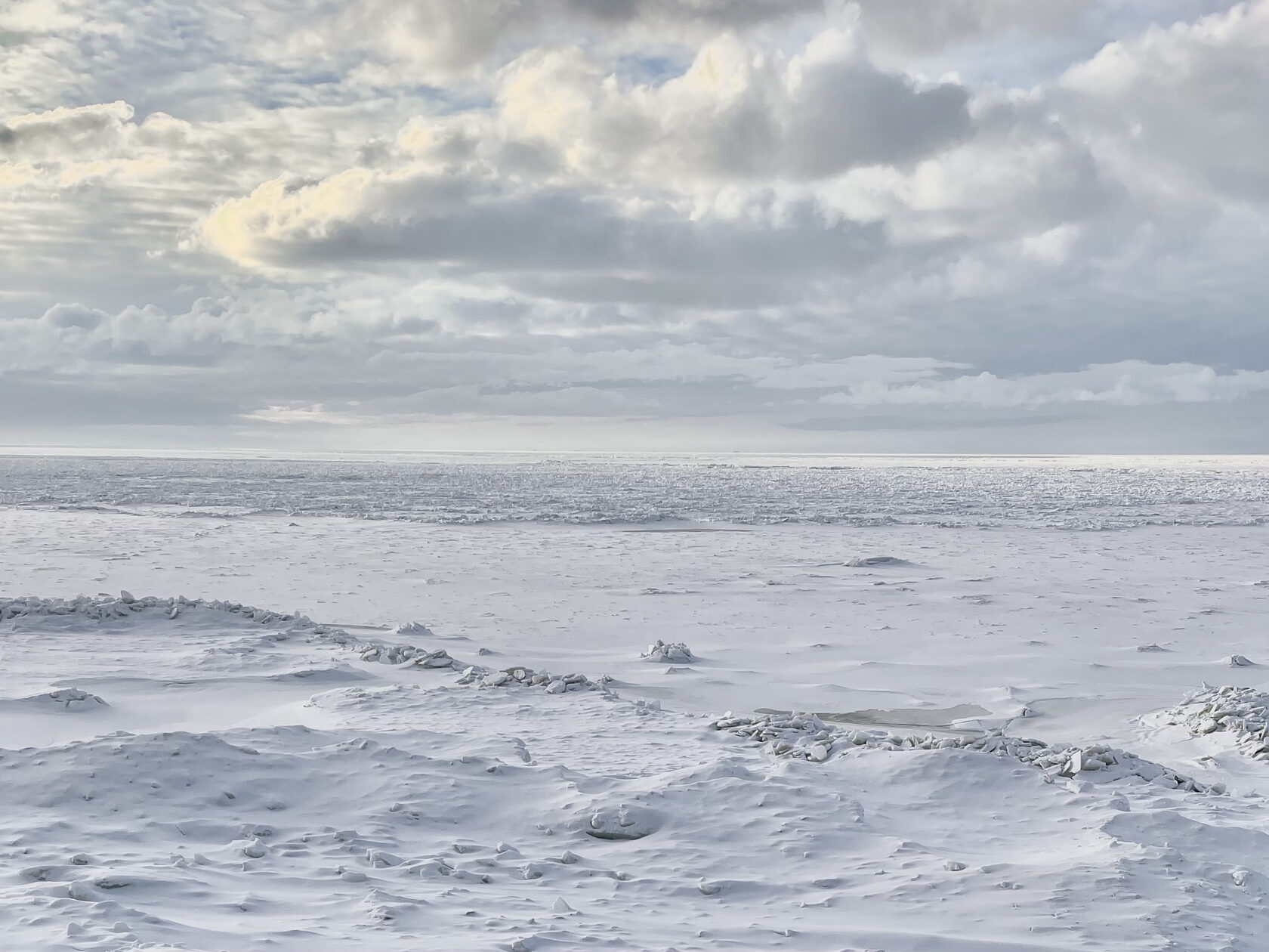 Экстракт арктических водорослей
