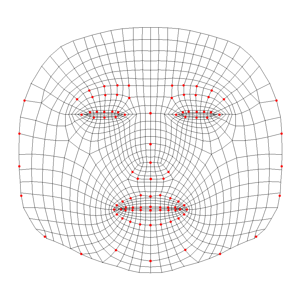 Маски точка. Face Mesh Spark ar. Сетка лица для Spark ar. Макет маски для лица. Сетка человеческого лица.