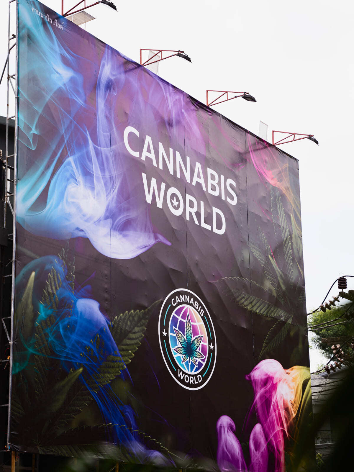 Ребрендинг Cannabis World: логотип, фирменный стиль, оформление соцсетей