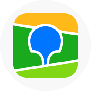 website icon