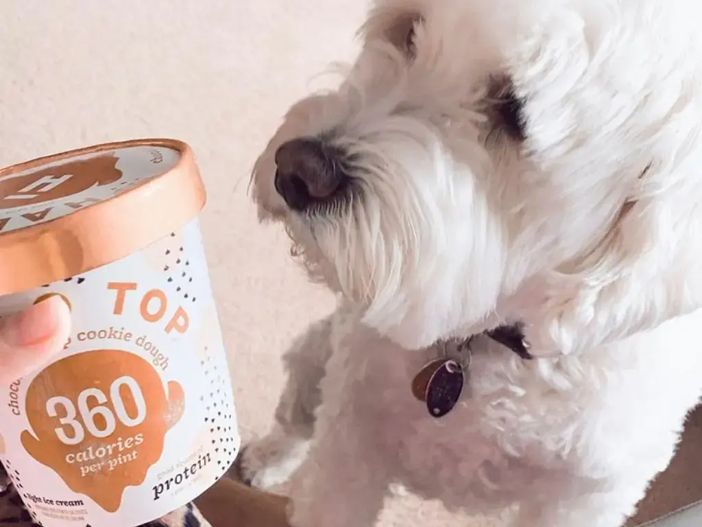 Linguistic Self-Confidence