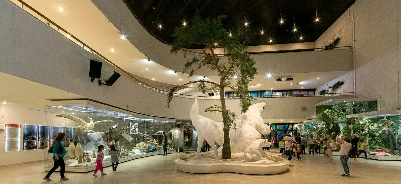 Бесплатное посещение музеев Москвы 16 ноября 2025 в рамках «Московской музейной недели»