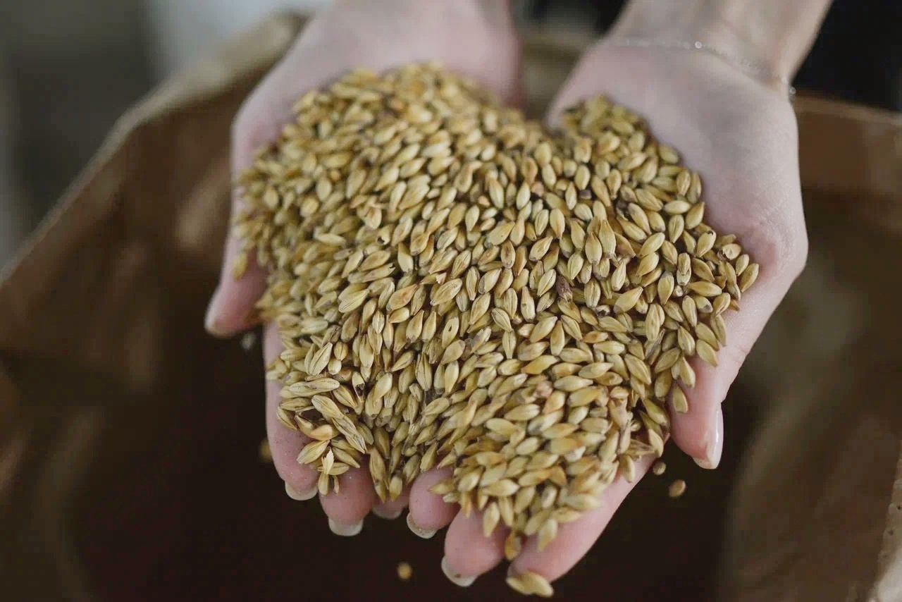 Премиальный вкус и аромат