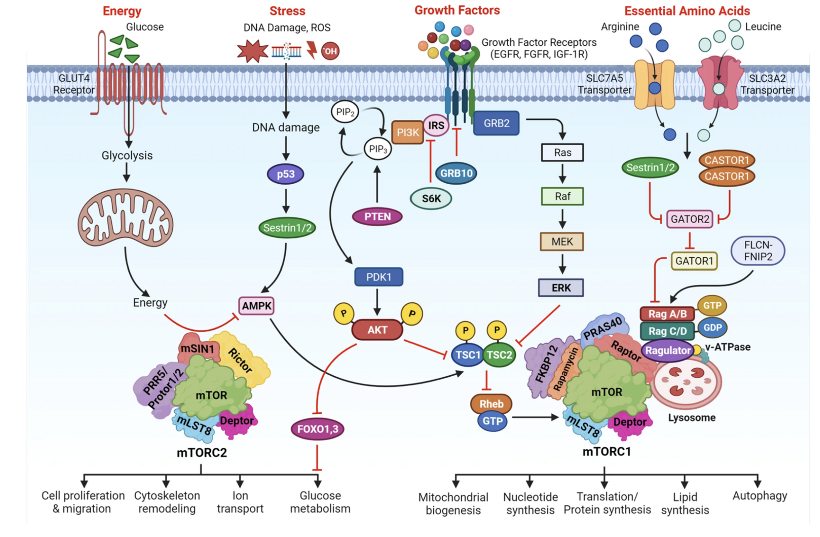 Ein Bild, das Text, Diagramm, Screenshot enthält.
KI-generierte Inhalte können fehlerhaft sein.