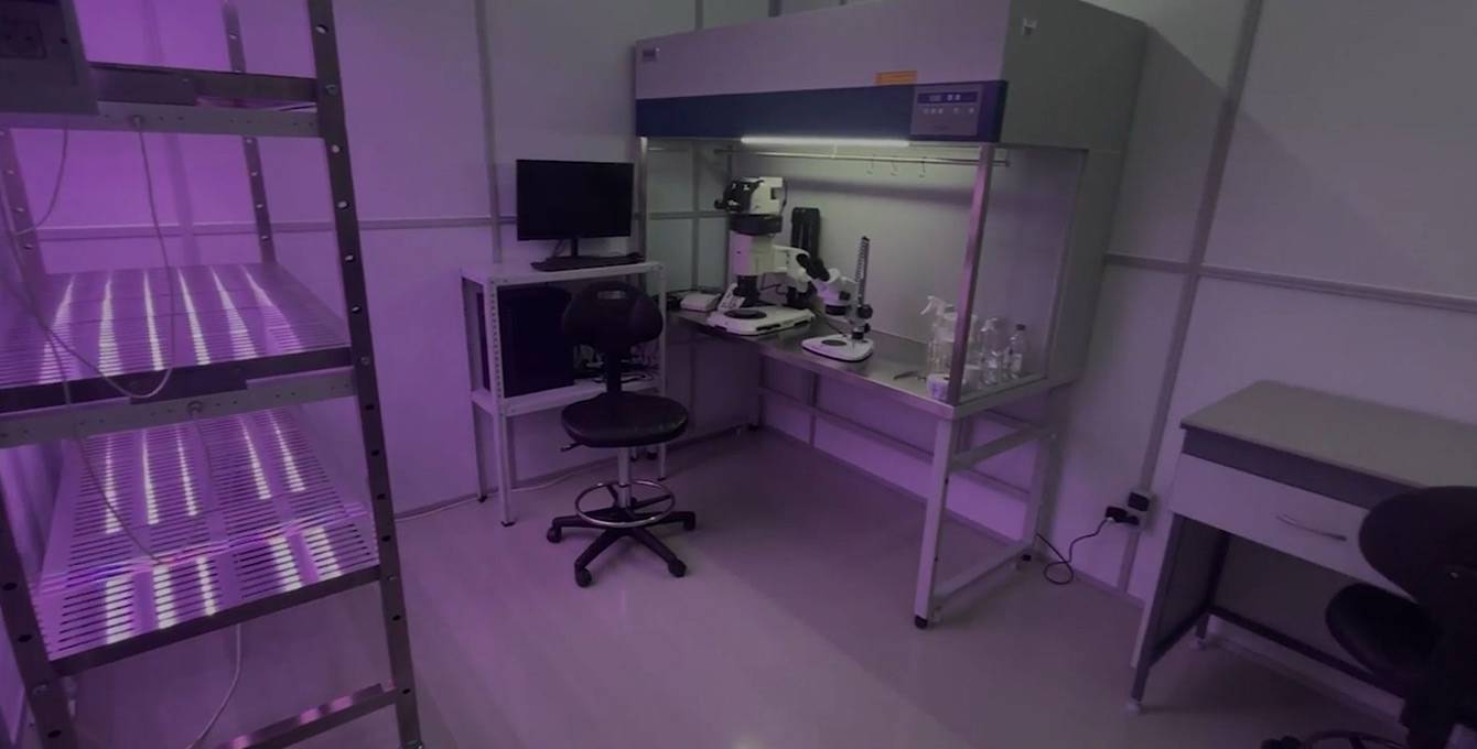 Инжиниринг