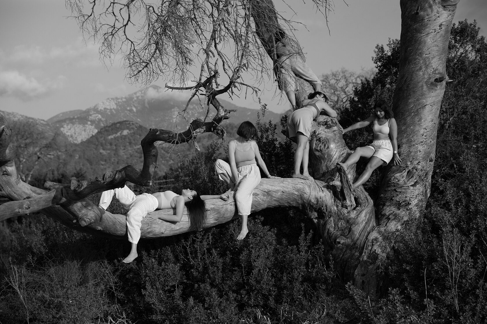 Ирина Чеснокованың сиськи Лисан Утяшевамен жыныстық қатынас