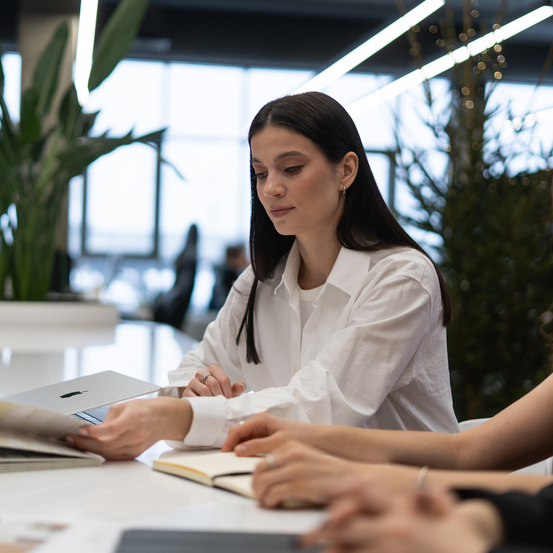 Младший архитектор — дизайнер Алина Шпинева