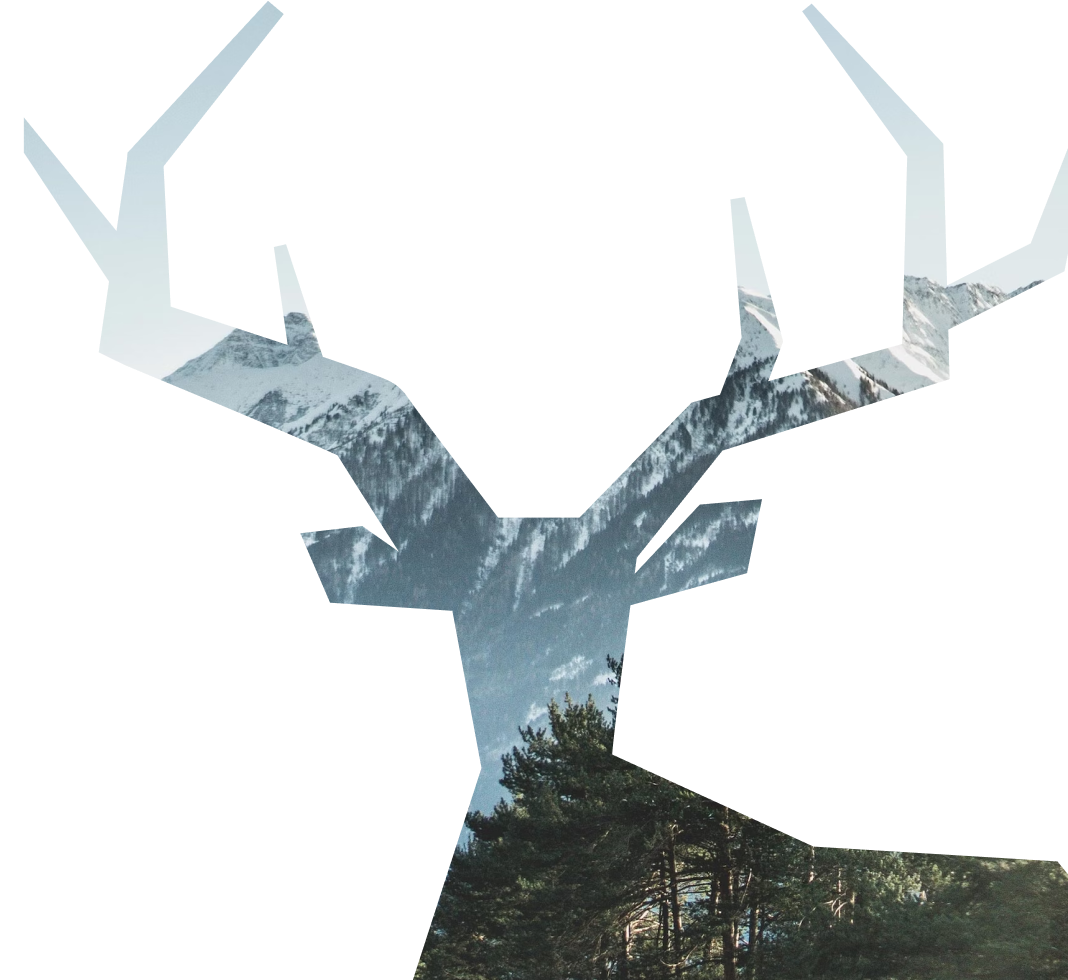 заявка на франшизу