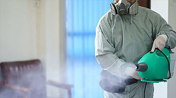 Дезинфекция от тараканов холодным туманом