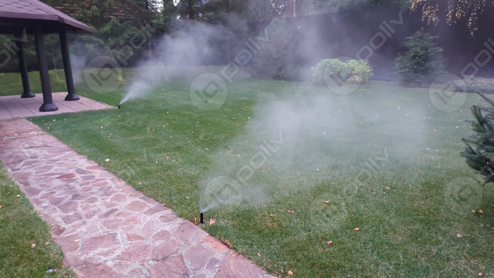 Выход водно-воздушной смеси (белого тумана) из дождевателя Hunter во время продувки воздухом.