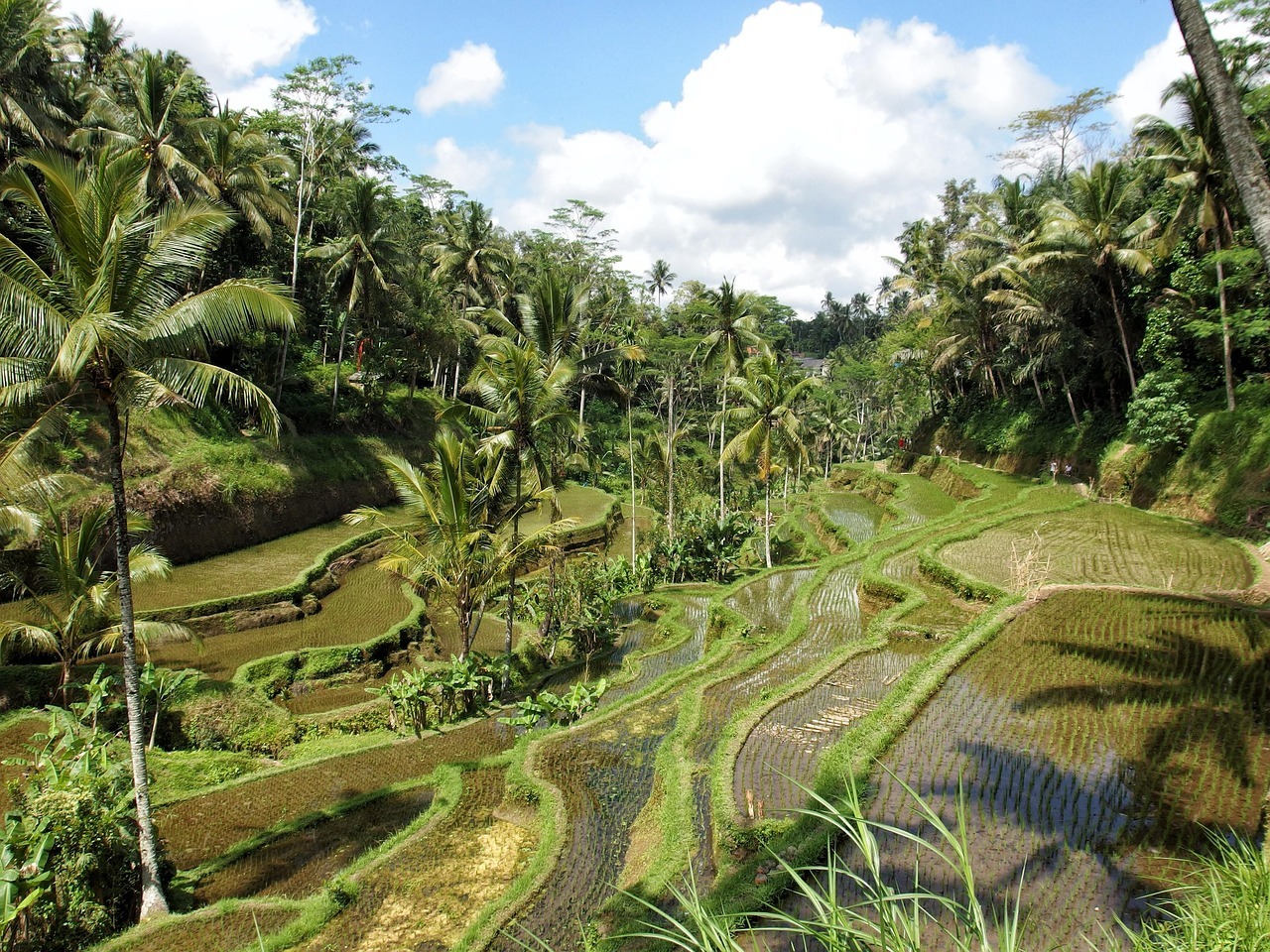 fine dining in ubud bali