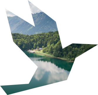 птичка картинка