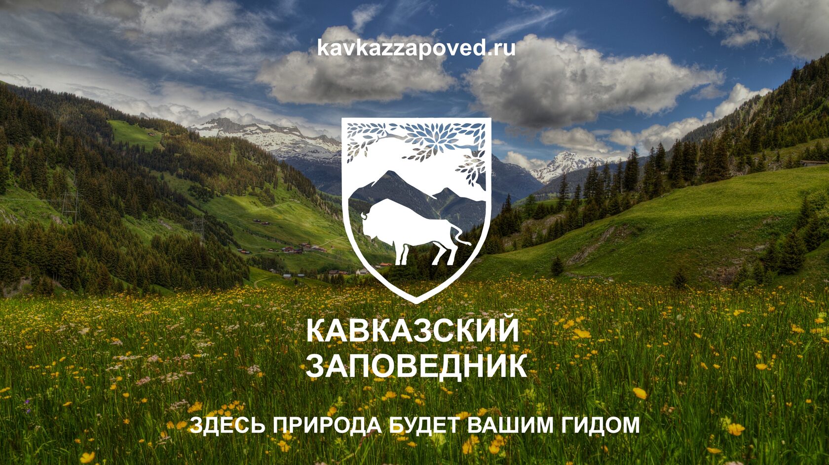 Кавказский биосферный заповедник логотип