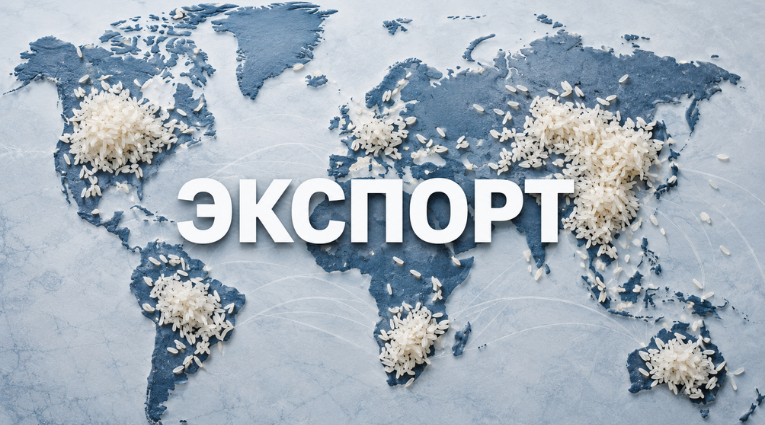 Стилизованная карта мира в голубых тонах на которой в разных регионах рассыпаны зёрна белого риса по центру крупно размещено слово ЭКСПОРТ символизирующее мировую торговлю рисом.