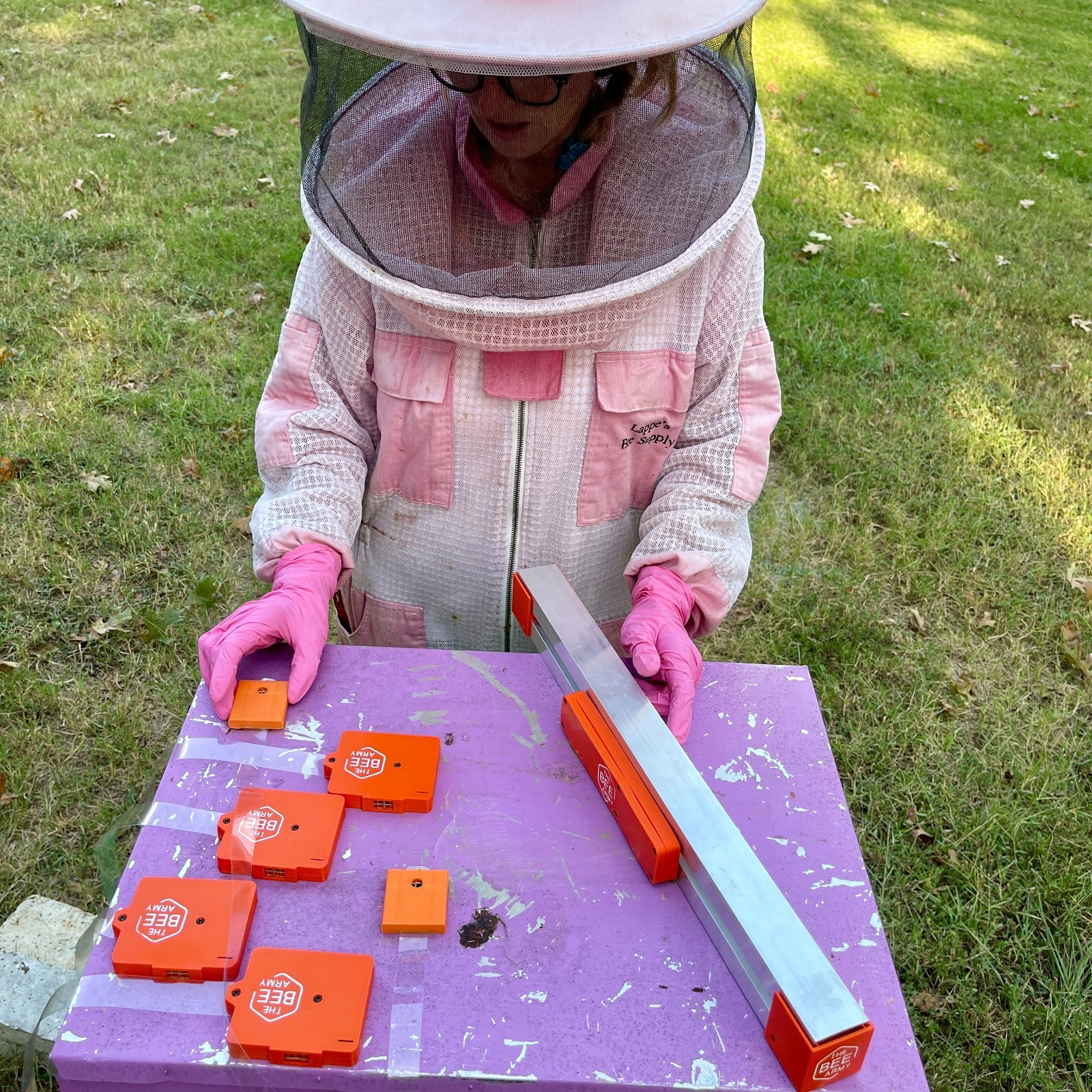 beekeeper, beehive monitoring, honeybees, swarming, beehive