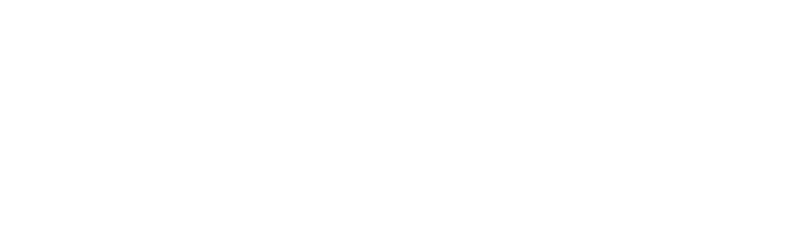 Логотип ПИК