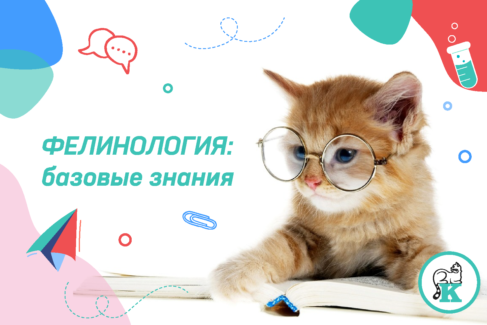 Фелинология: базовые знания