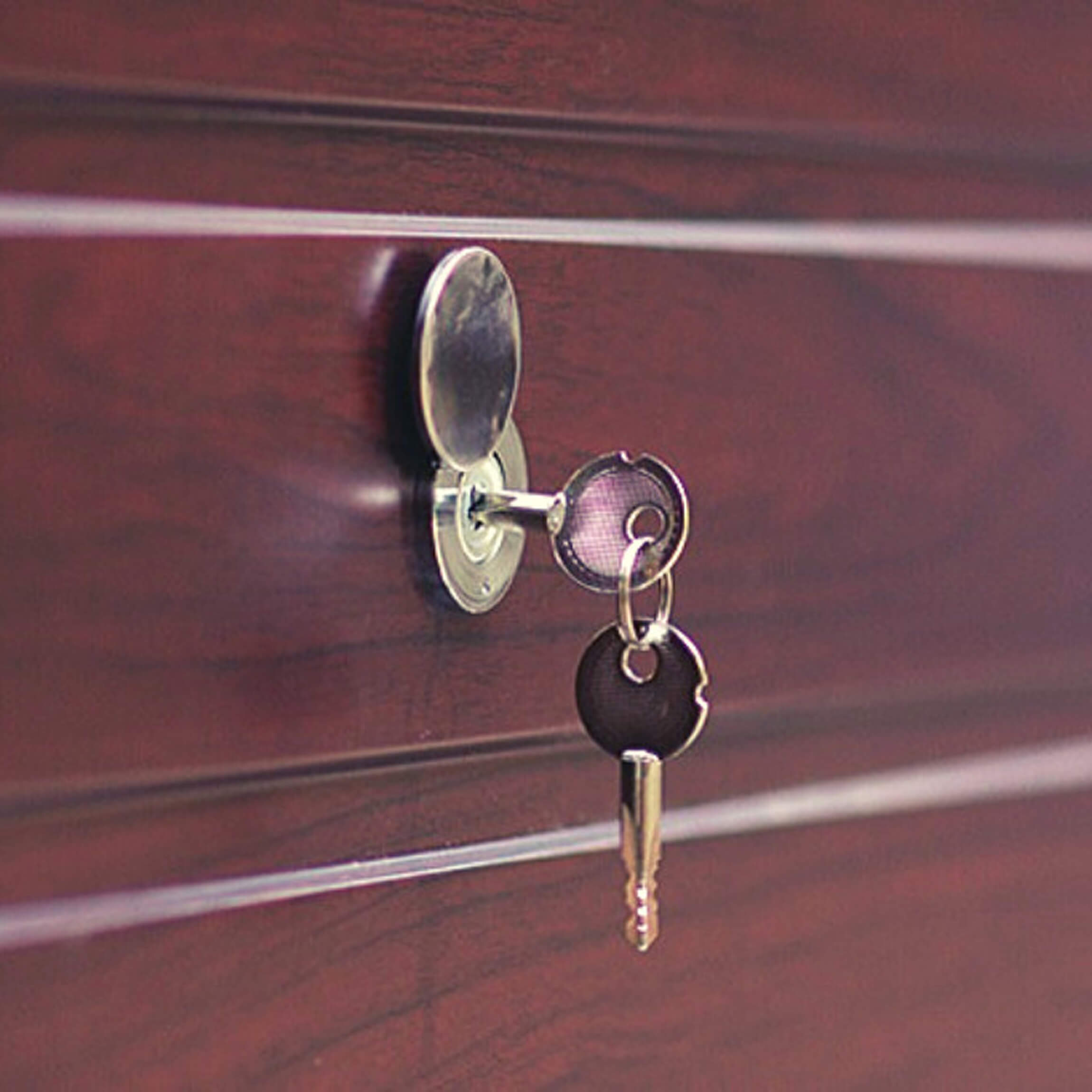 Устройства разблокировки для гаражных ворот, купить в Санкт-Петербурге и Лен. области — ONGate