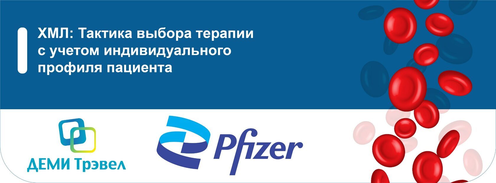 ХМЛ: тактика выбора терапии с учетом индивидуального профиля пациента