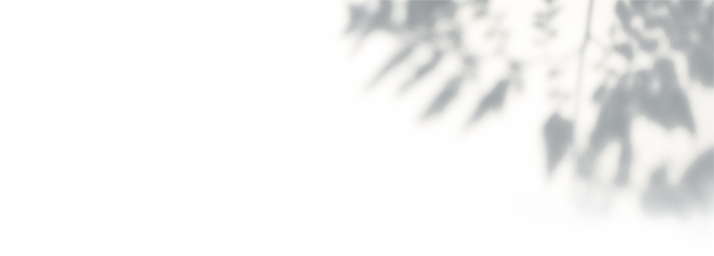 ирис, iris, отель ирис, мини отель ирис, гостиница ирис, отель, гостиница, жилье, мотель, отель новоорск, гостиница новоорск, жилье новоорск, снять жилье новоорск, снять отель новоорск, снять гостиницу новоорск