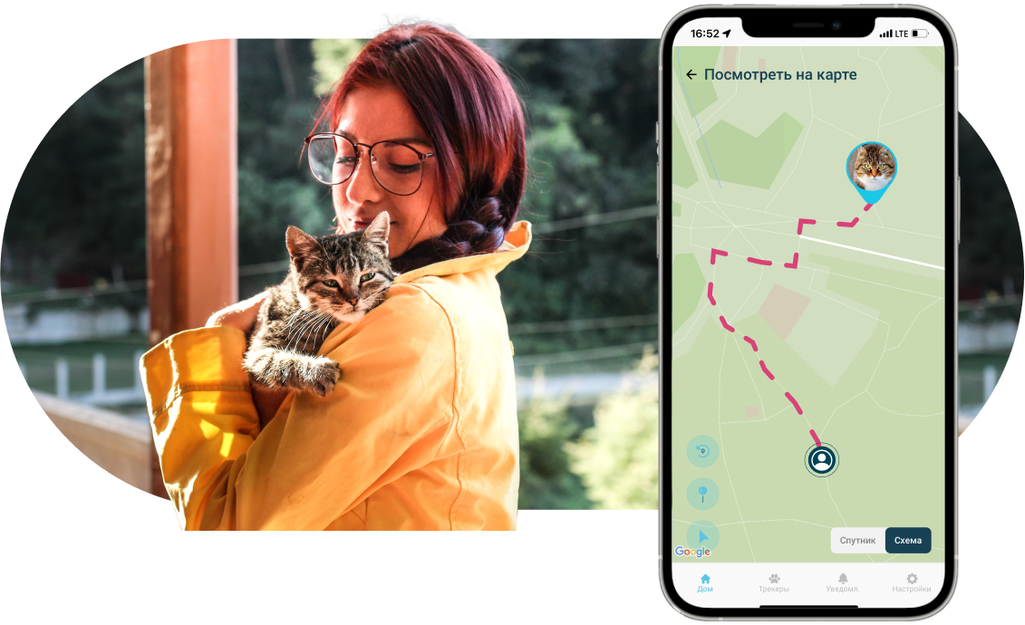 Petsee 4g. GPS ошейник для кошек. Petsee 4g Cats. Petsee GPS-ошейник, синий.