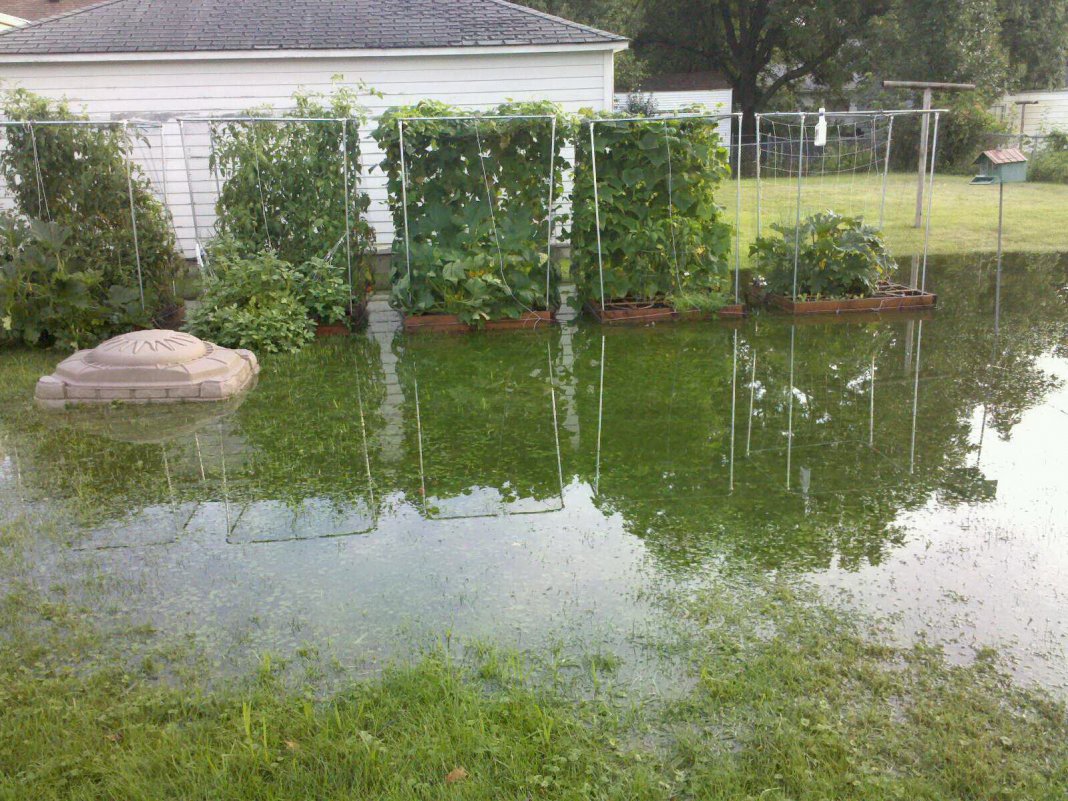 Пруд для воды на участке