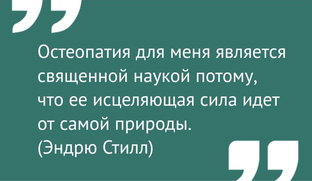 остеопат; мануальный терапевт; биодинамист; кинезиолог; ортопед; развитие речи; лечение зажимов; зпр; массаж; 