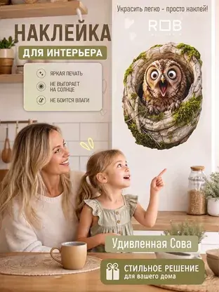 Интерьерная наклейка «Удивлённая сова» REVOLUTBOX