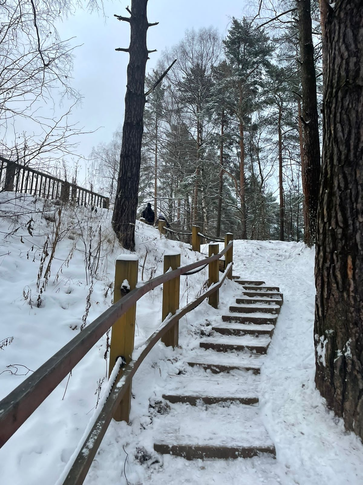 ☀ Поход выходного дня в Подмосковье. Маршрут в Битцевский лесопарк