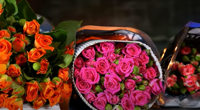 Цветы с плантации Karen Roses