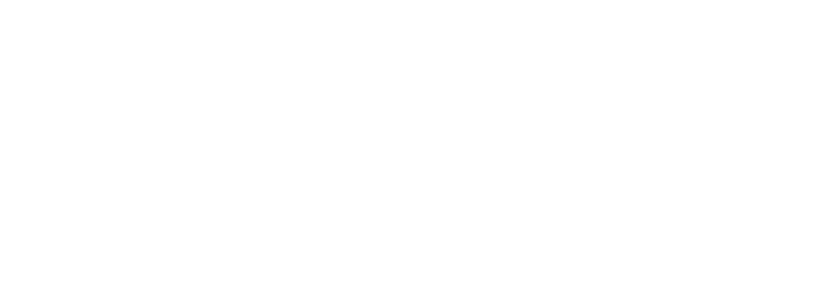 СинОпт&amp;Ко