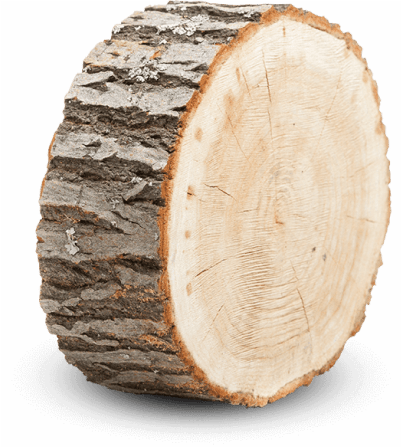 Срез дерева