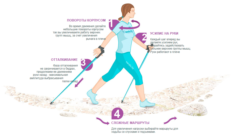 Скандинавская ходьба картинки для презентации