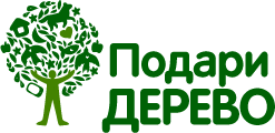 Дарите живое. Логотип посади дерево. Реклама посади дерево. Эко проект посади дерево. Посади дерево подари планете жизнь логотип.