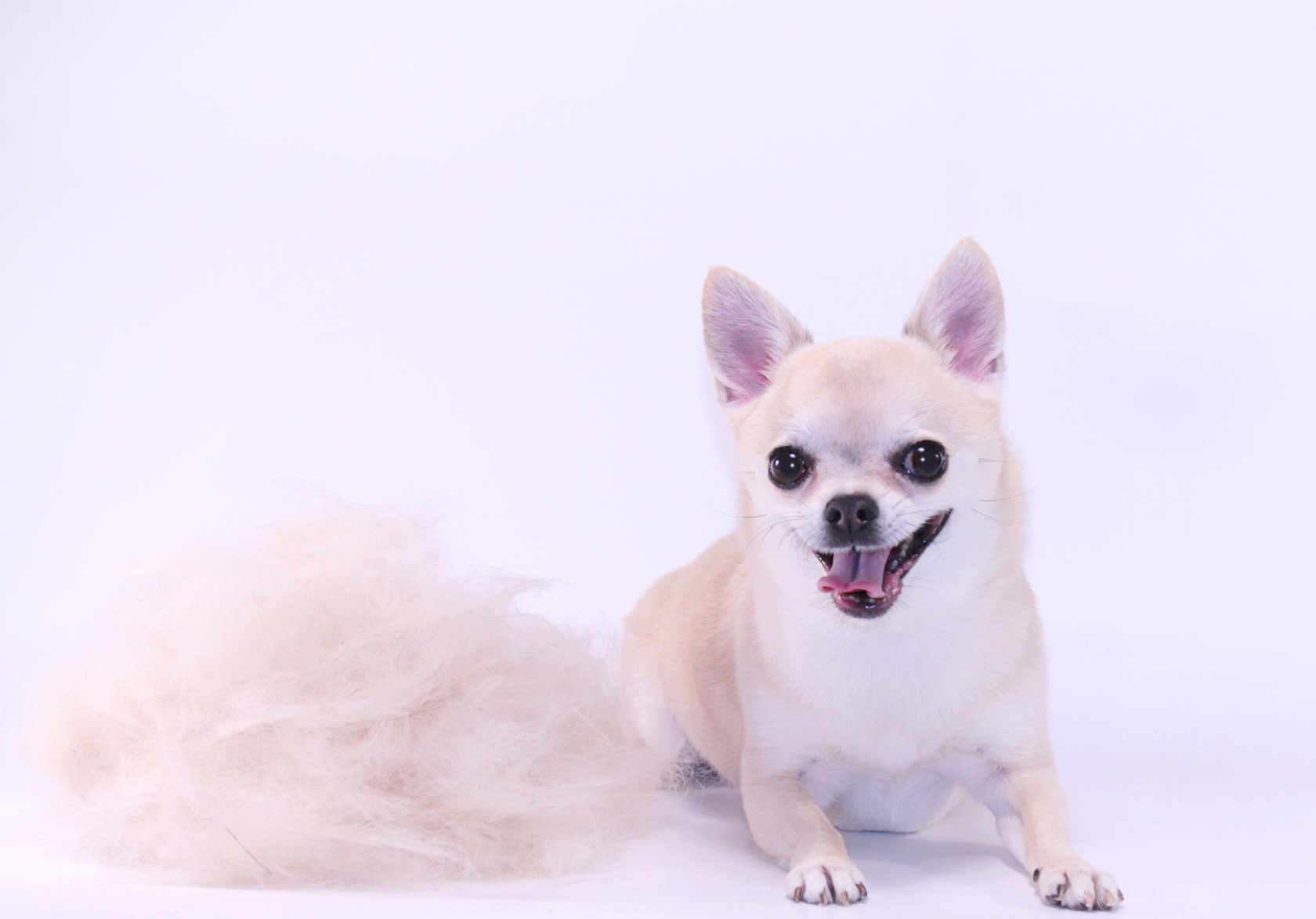 Вычесывание