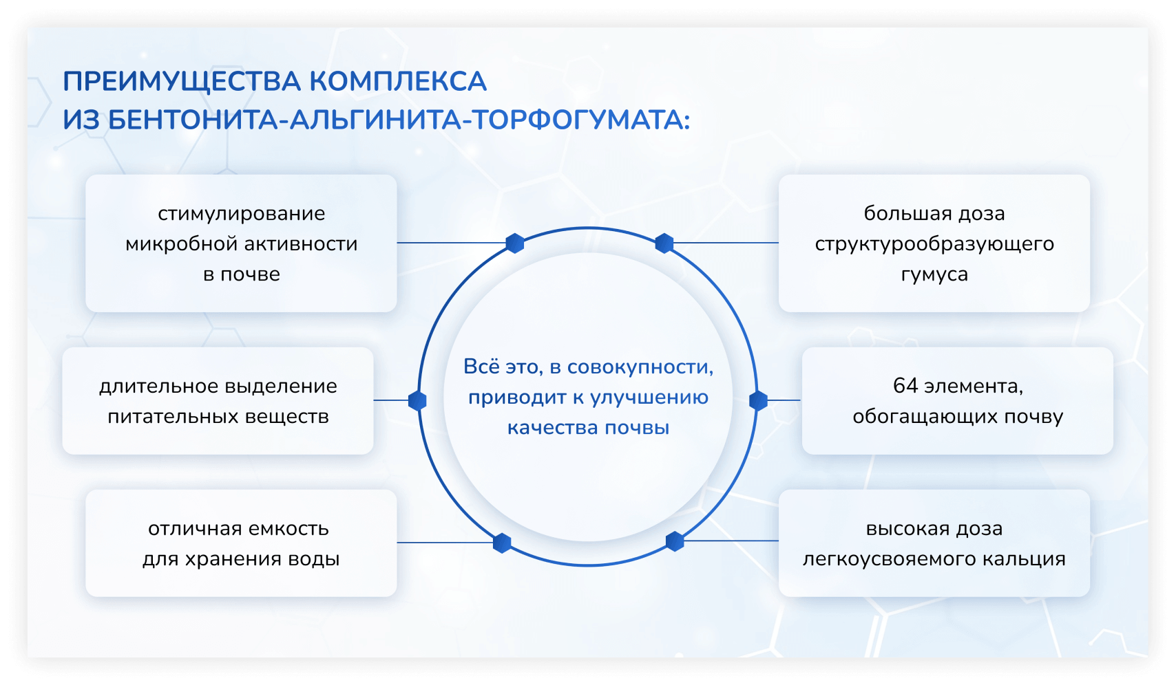 Студия веб-дизайна Шеиной Александры. Разработка сайта на тильде. Сделать сайт на тильде. Заказать сайт на тильде.