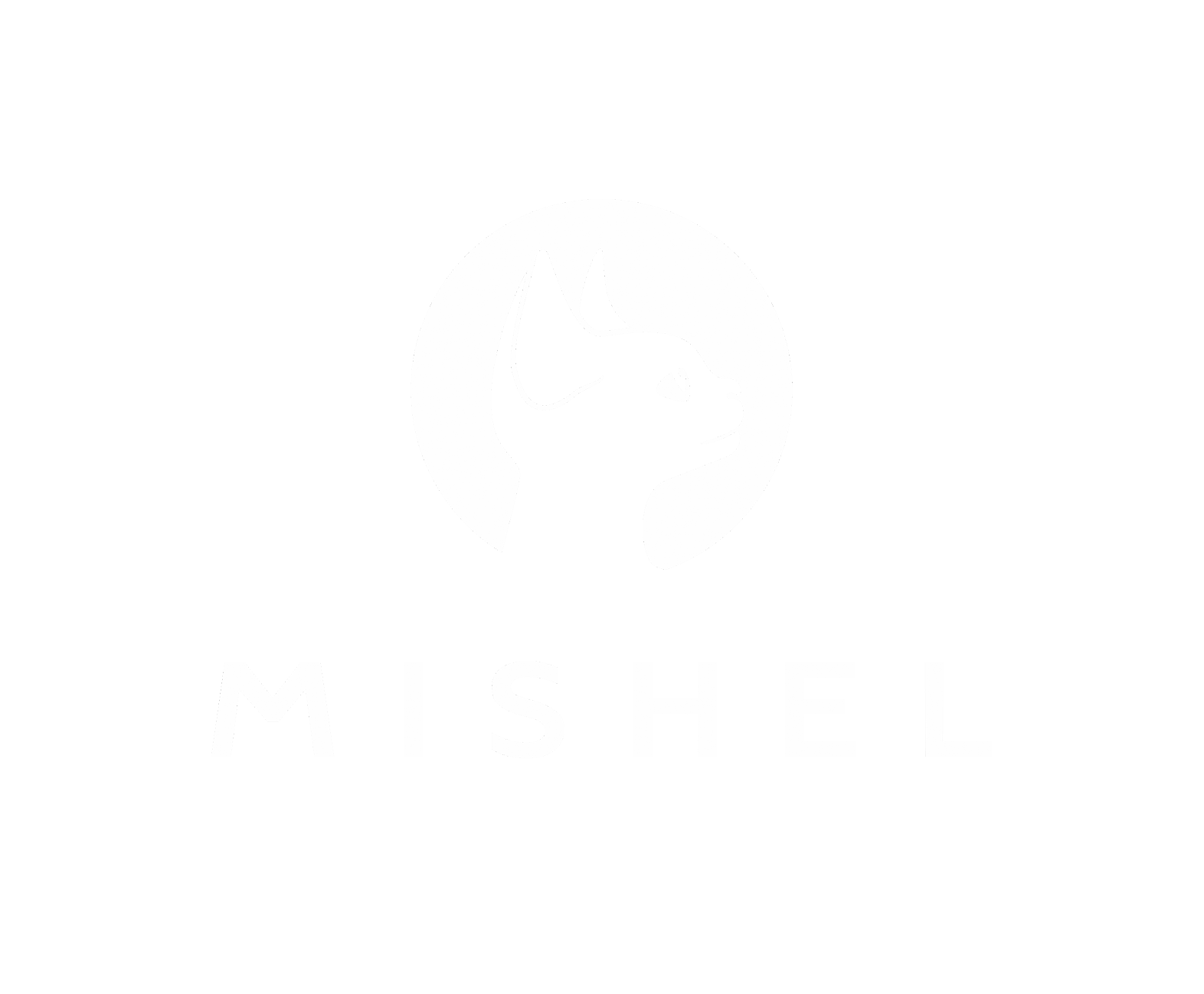 Фонд «MISHEL»