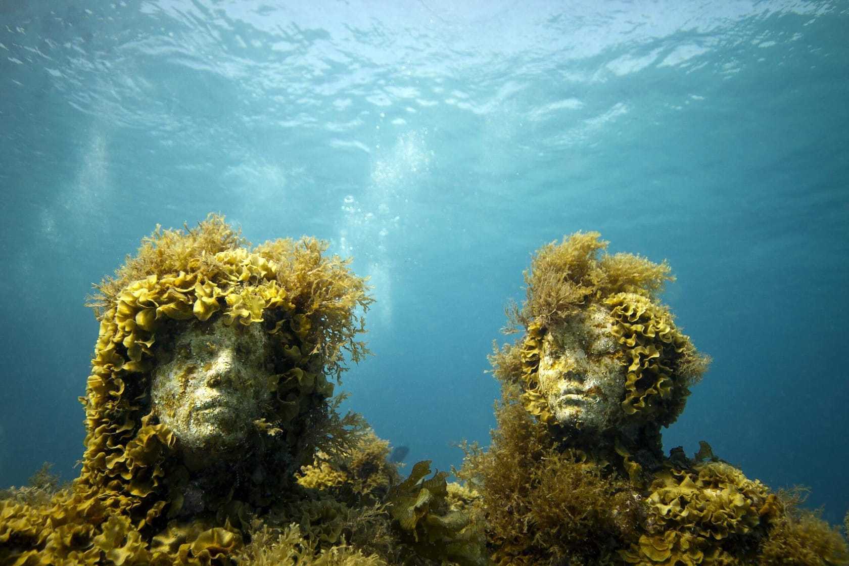 Карибское море под водой