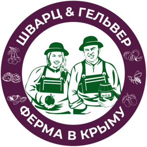 website icon