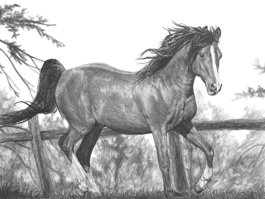 Простой урок по рисованию лошади