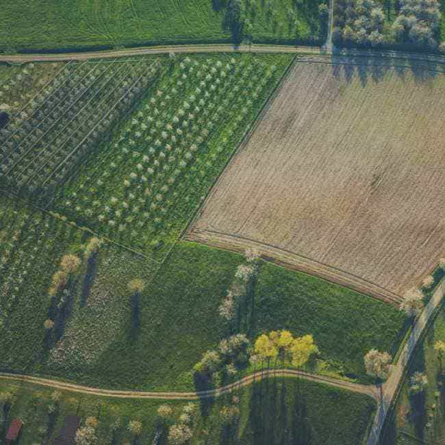 Земельный юрист Анна Степанова в СПб, услуги юриста по земельным вопросам