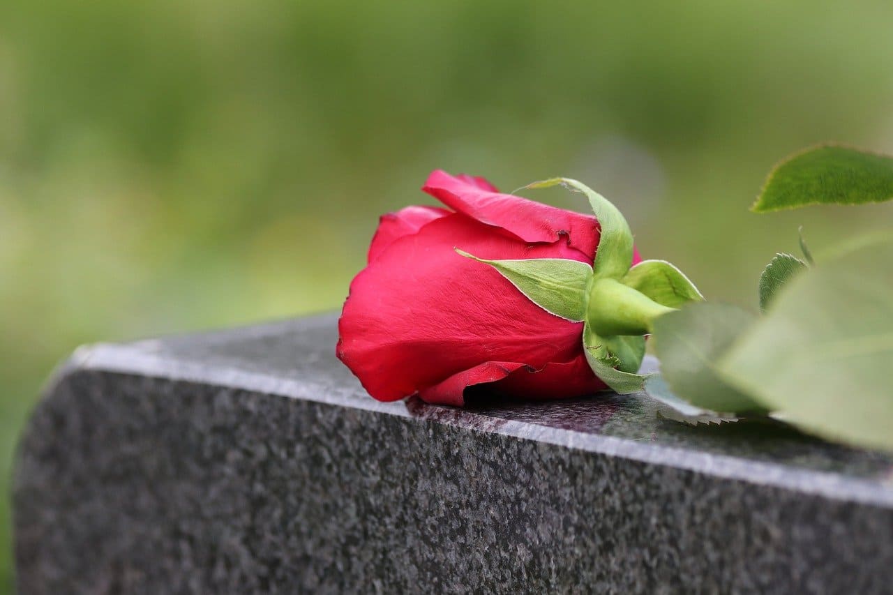 Красные розы на надгробии