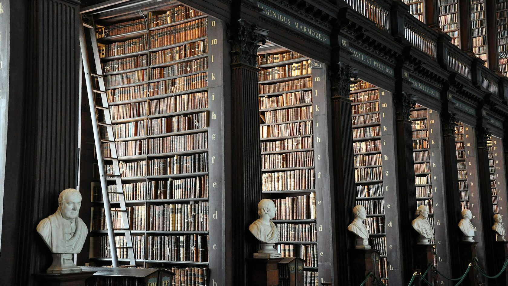 Tall wooden bookshelves with old books and marble busts in a library