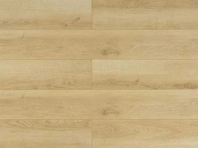 my step mega